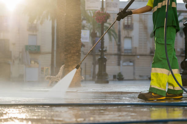Best Gutter Cleaning  in Regency At Monroe, NJ